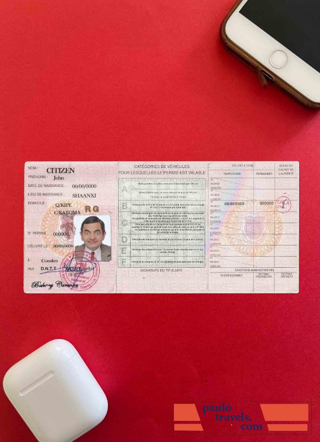 Guinea DL photolook PSD template